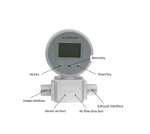 เครื่องวัดอัตราการไหลของก๊าซแบบเทอร์มอล พร้อมหน้าจอดิจิตอล 9-24VDC และใช้พลังงานจากแบตเตอรี่ RS485 Modbus เกลียว NPT ปรับแต่งได้ เซ็นเซอร์วัดการไหลของก๊าซ - Product Image 2