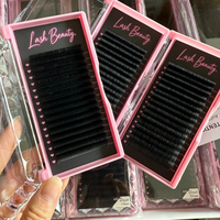 Plateau d'extensions de cils en cachemire courbés individuellement J B C D CC DD L M – Qualité supérieure – Fournisseur d'extensions de cils en gros