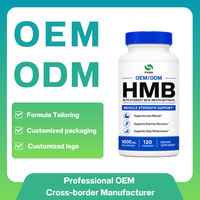 Capsules de calcium HMB certifiées GMP pour la récupération musculaire après l'entraînement, poudre HMB personnalisée, supplément de nutrition sportive pour la récupération, fabrication en usine