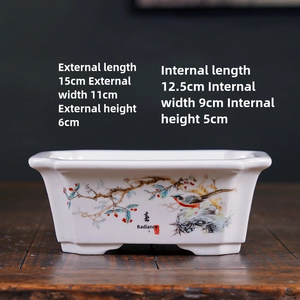 <span class=keywords><strong>Vasi</strong></span> per Bonsai <span class=keywords><strong>in</strong></span> <span class=keywords><strong>Ceramica</strong></span> Ecologici, Smaltati Bianco-Blu con Fori di Drenaggio, Resistenti, <span class=keywords><strong>Piccoli</strong></span> <span class=keywords><strong>Vasi</strong></span> da Interno per Piante e Fiori - Product Image 5