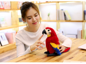 Jouet musical en peluche canard souple souvenir d'anniversaire, adorable poupée en peluche personnalisée, jouet original, cadeau d'anime pour amis, jouet <span class=keywords><strong>cactus</strong></span> - Product Image 6