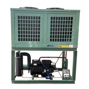 Fabbrica 3/5/8/10/15hp compressore raffreddato ad aria unità di condensazione cella frigorifera di Copeland scambio termico Eqipment