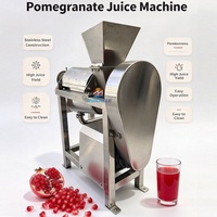 Machine industrielle à grande vitesse pour le traitement du jus de grenade, machine à jus de grenade