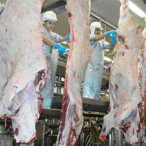 Équipement d'abattoir rituel pour la transformation de la viande bovine, découpe, abattage, <span class=keywords><strong>boucherie</strong></span> - Product Image 1