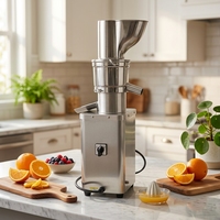 RVS commerciële sapcentrifuge voor calamansi, sinaasappel en mango