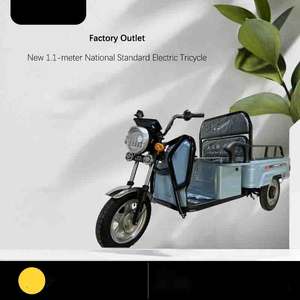 Nouveau Tricycle électrique de cargaison Tricycle de cabine <span class=keywords><strong>Moto</strong></span> Tricycle électrique <span class=keywords><strong>pour</strong></span> <span class=keywords><strong>personne</strong></span> <span class=keywords><strong>handicapée</strong></span> - Product Image 3