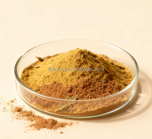 Bán Hot Senna lá chiết xuất chất lượng đáng tin cậy tự nhiên Senna lá chiết xuất 20% - Product Image 3