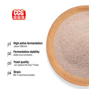 Levadura Seca Instantánea CCG 450G Baja en Azúcar, Precio de Fábrica, Levadura de Fermentación <span class=keywords><strong>para</strong></span> <span class=keywords><strong>Pan</strong></span> y Pasteles - Product Image 3