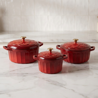 Ensemble de casseroles modernes en fonte émaillée multi-tailles, revêtement antiadhésif, compatible gaz et induction, avec couvercles inclus