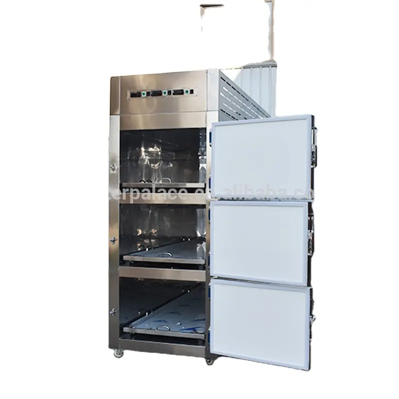 Réfrigérateur de stockage d'entreprise, nouveau design, livraison rapide, 3 body