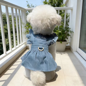 Summer Thin Denim <b>Princess</b> Dress For Small Dogs Teddy Breathable Spring Summer Skirt Lace Trim Pet <b>Clothes</b> - Product Image 2