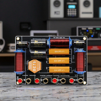 Divisor de Frecuencia XN1125 de 2 Vías en Cobre Fino para Audio HiFi, Red de Crossover de 900W para Altavoces de 12-15 Pulgadas, Divisor para Agudos/2 Graves