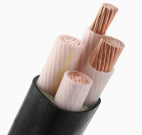 Cable de Alimentación Industrial de Bajo Voltaje YJV de 4 Núcleos, 4*70mm, Cobre, Aislamiento XLPE PVC, IP65, Sin Armadura