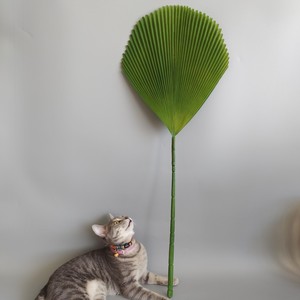 Vente en gros de feuilles de <span class=keywords><strong>palmier</strong></span> plissées artificielles vert armée, aspect réaliste, verdure tropicale, tige de <span class=keywords><strong>palmier</strong></span> <span class=keywords><strong>Licuala</strong></span> artificielle pour la décoration intérieure - Product Image 4