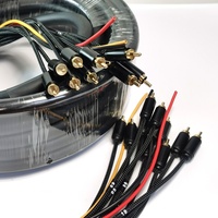 Câble audio Snake 10 canaux RCA doré 3x 12GA OFC, blindé tressé, gaine PVC, 30 pieds, pour HDTV, home cinéma et utilisation automobile