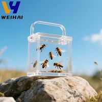 Cage à insectes en acrylique portable avec poignée-Boîte de transport ventilée pour insectes vivants, habitat éducatif pour animaux de compagnie en classe