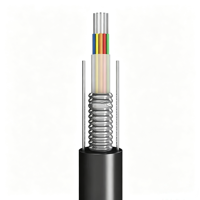 Kabel Serat Optik Luar Ruangan GYXTW Berkualitas Tinggi, Selubung PE, Tabung Longgar, 12 Inti 24 Inti, Untuk Telekomunikasi, Bersertifikasi ISO9001/CE/RoHS, Tembaga 1