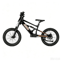 Bicicleta Eléctrica Infantil de 20 Pulgadas, 48V, 6.0AH, 1000W, Diseño sin Escobillas, Sensor Inteligente, Aleación de Aluminio y Litio, para Exteriores