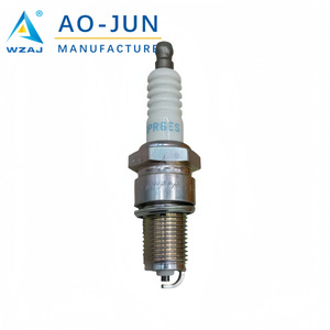 Bougie d'allumage Iridium Flame Tip Ao-Jun BPR6ES 7131 pour Honda et autres petits moteurs - Product Image 3