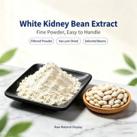 Extrait de graines de haricot blanc en poudre, protéine végétale pure de qualité alimentaire, conditionné en fût