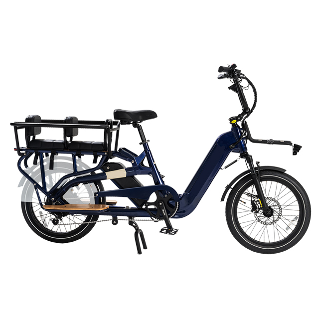 30Ah Dual Battery  OEM Long Tail Cargo Electric Bicycle 48v 750w  Food Delivery Big Loading Capacity Electric Cargo Bike