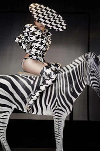 Costume zèbre à rayures pour femmes, costume de Performance, boîte de nuit, chanteur, invité, équipe de danse, imprimé chair, <span class=keywords><strong>mille</strong></span> oiseaux - Product Image 3