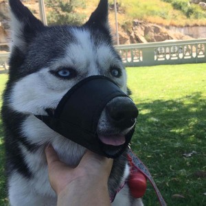 Bozal de cuero duradero y suave para perros, ajustable, resistente, hueco, anti-mordeduras - Product Image 2