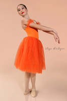 Costume de danse romantique Giselle pour la scène, tutu de danse classique SYLPHIDE, vêtements de danse pour la scène