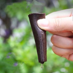 Pot <span class=keywords><strong>de</strong></span> culture hydroponique pour légumes fourni par le jardin, culture sans terre, substrat en <span class=keywords><strong>mousse</strong></span> <span class=keywords><strong>de</strong></span> croissance, bloc <span class=keywords><strong>de</strong></span> bio-carbone, éponge - Product Image 5