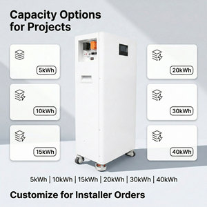 51.2V 300Ah 14.33kWh Lithium Ion Solar Battery 15kWh Residential Energy System Hybrid <b>Grid</b> Connection 100Ah Capacity NEHC0005 So - Product Image 2