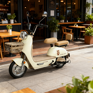 Bicicleta Eléctrica Urbana para Adultos con Marco de Acero, Motor de 3 Velocidades en la Rueda Trasera, Batería de Plomo-Ácido, 48V 350W 14 Pulgadas, sin Escobillas, Venta al Por Mayor - Product Image 2