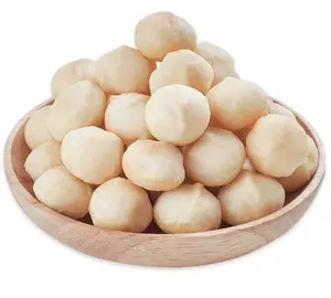 Vente en gros de noix de macadamia crues biologiques en plusieurs saveurs séchées et en vrac, y compris des arômes de magnolia et de fruits crus