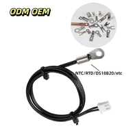 Sensor Suhu PT100 RTD Presisi Tinggi dengan 3 Kabel Tanpa Isolasi Kelas A untuk Otomasi Industri