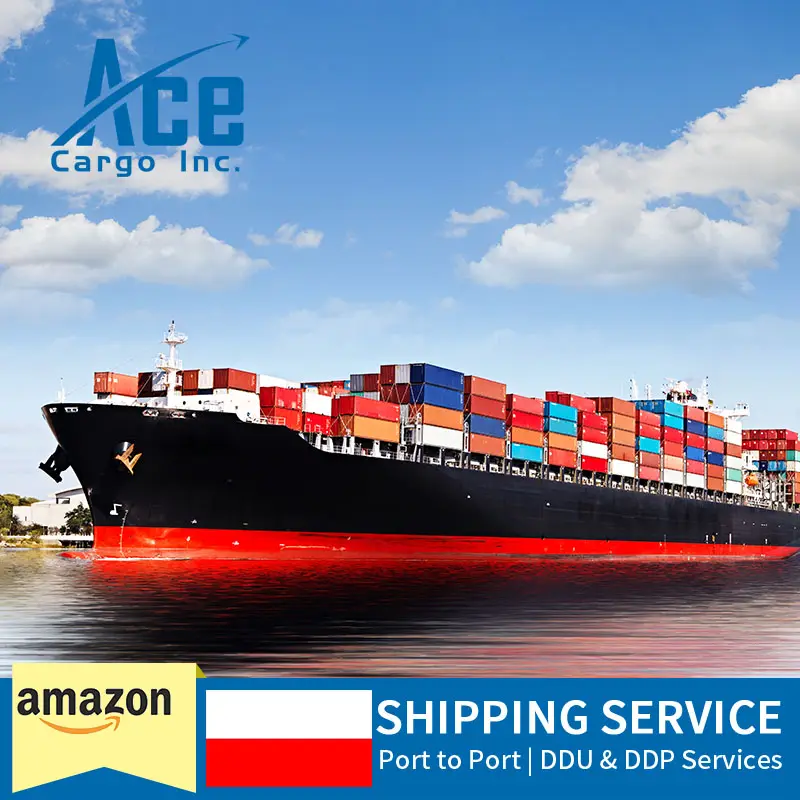 Chuyên nghiệp cửa đến cửa vận chuyển hàng hóa đường biển thâm quyến vận chuyển hàng hóa giao nhận để Poland DDP vận chuyển