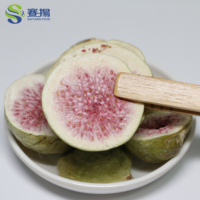 SAIYANG Groothandel Gedroogd Fruit Snacks 100% Natuurlijk Aardbei Kiwi Mango Jackfruit Vijg Bulk Gedroogd Gemengd Fruit