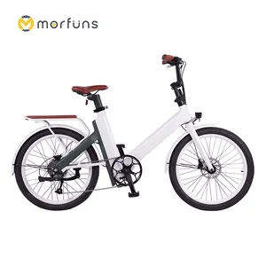 24 인치 전기 도시 자전거 15Ah 리튬 배터리 장거리 Ebike 250W 500W 전기 자전거