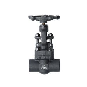 Válvula de Compuerta Personalizable ANSI 150-1500LB de Acero Inoxidable A105 Manual 304 316 Rosca Hembra NPT DN15-DN100 Base 1.6-100mpa - Product Image 1