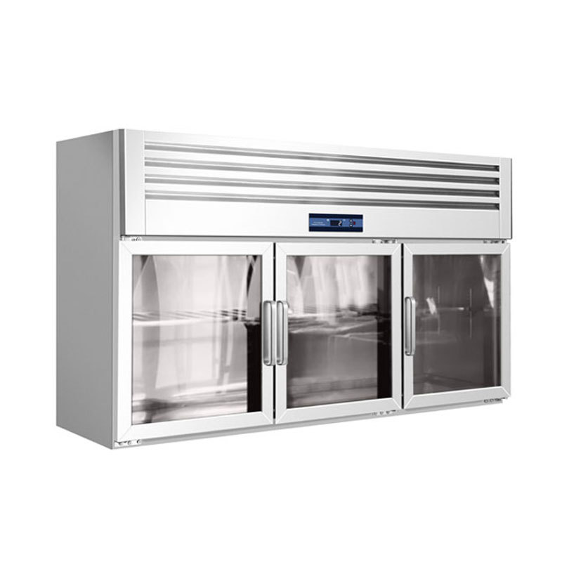 Customizable Commercial Wall Mounted Display Refrigerator
