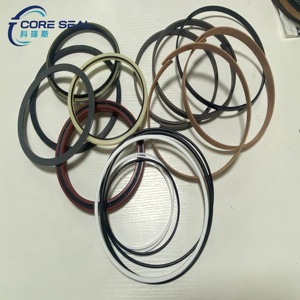 <span class=keywords><strong>Kit</strong></span> <span class=keywords><strong>de</strong></span> réparation <span class=keywords><strong>de</strong></span> cylindre <span class=keywords><strong>de</strong></span> bras <span class=keywords><strong>de</strong></span> machine <span class=keywords><strong>de</strong></span> construction, <span class=keywords><strong>kit</strong></span> <span class=keywords><strong>de</strong></span> réparation <span class=keywords><strong>de</strong></span> cylindre d'excavatrice <span class=keywords><strong>pour</strong></span> Doosan DX340 / DX340LC / DX340LCA - Product Image 4