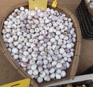 Export di alta qualità fresco viola bianco singolo spicchio aglio Solo aglio aglio solitario all'ingrosso - Product Image 6