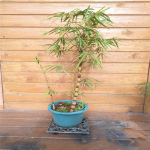 Supports de fleurs pratiques en fonte, carrés et ronds, pour plateaux mobiles, à bas prix, vente en gros d'articles d'artisanat métallique - Product Image 1