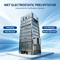 Unidad de Precipitación Electrostática Húmeda (WESP) para la Purificación Profunda de Gases de Escape de Calderas de Plantas de Fermentación de Ácido Cítrico