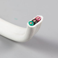 300/500V BVVB Flaches Elektrokabel 2-adrig PVC-isoliert Kupfer-Vollleiter Gummiummantelung 2*1mm