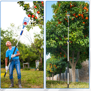 <span class=keywords><strong>Manche</strong></span> télescopique manuel DIY OEM <span class=keywords><strong>avec</strong></span> panier en acier inoxydable pour la cueillette des fruits dans les vergers, longueur personnalisable - Product Image 4