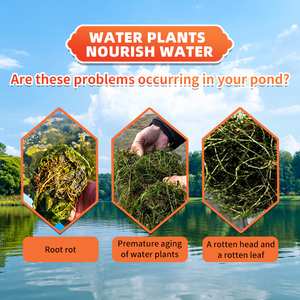 Các nguyên tố vi lượng ngăn ngừa lão hóa rễ giúp rễ cây thủy sinh bảo tồn nước và cỏ - Product Image 5