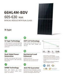 Pannelli Solari ad Alta Efficienza Tipo N 66HL4M-BDV 605 W 610 W 615 W 620 W 625 W 630 W per Uso Domestico - Product Image 2