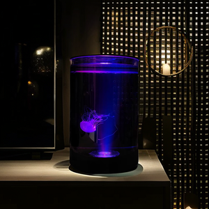 Aquarium de bureau rectangulaire moderne de 2,8 L pour petits poissons, créatif, pour poissons rouges et méduses, en plastique de haute qualité - Product Image 3