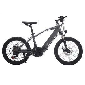 Faro LED de 20 pulgadas y 250W con batería oculta, 7 velocidades, potente motor trasero de buje de 20 250W para - Product Image 2