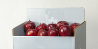 Meilleur prix personnalisé pour les boîtes d'emballage en carton ondulé pour fruits/légumes en provenance de Chine, pour tomates