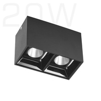 Spot lumineux LED 2x10W, 20W, COB, montage en Surface